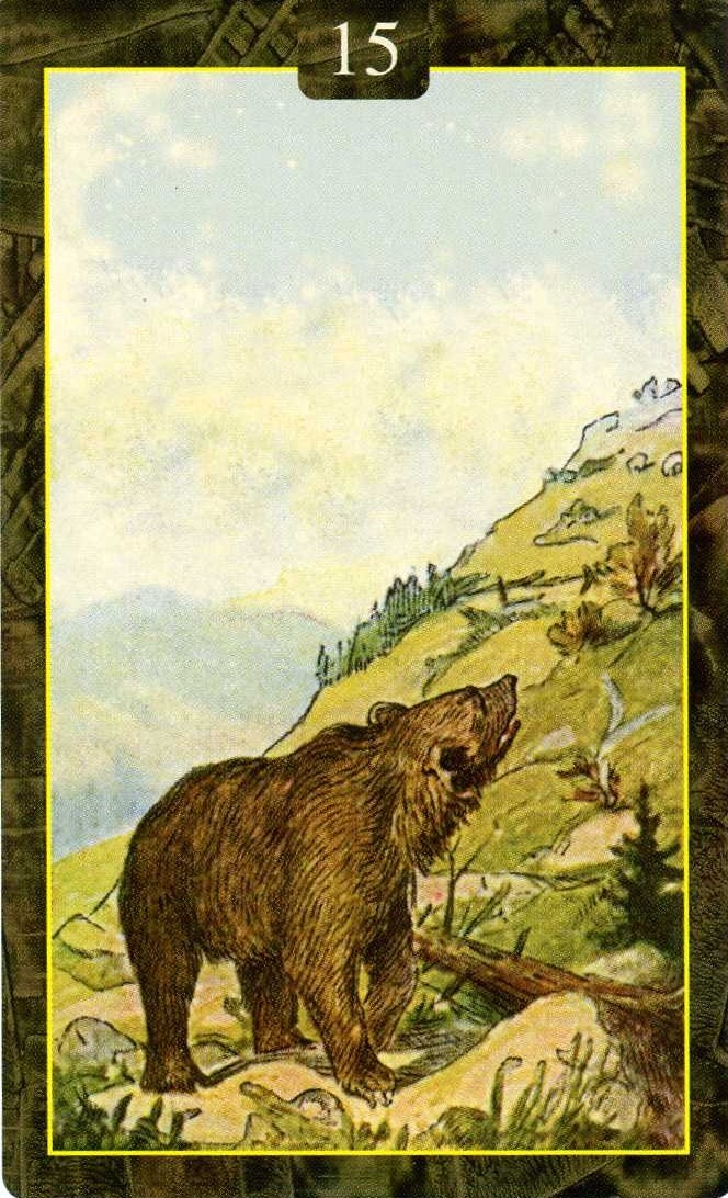 el oso