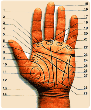 lectura de lineas de las manos